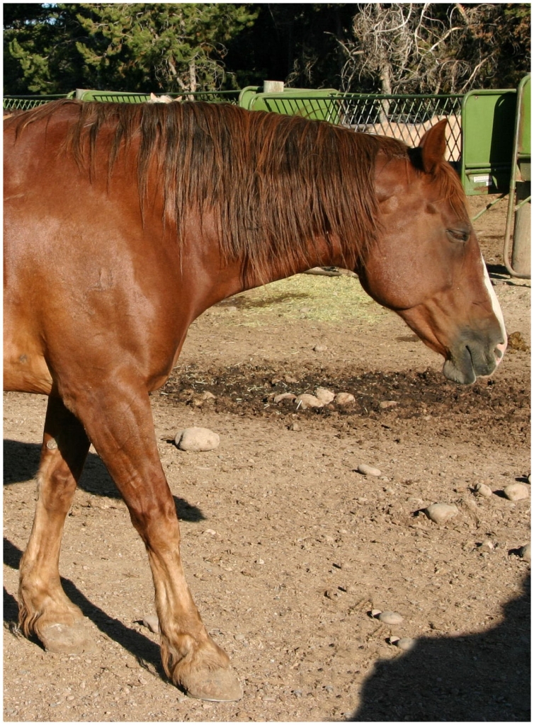 01 - Grand teton NP (28).jpg